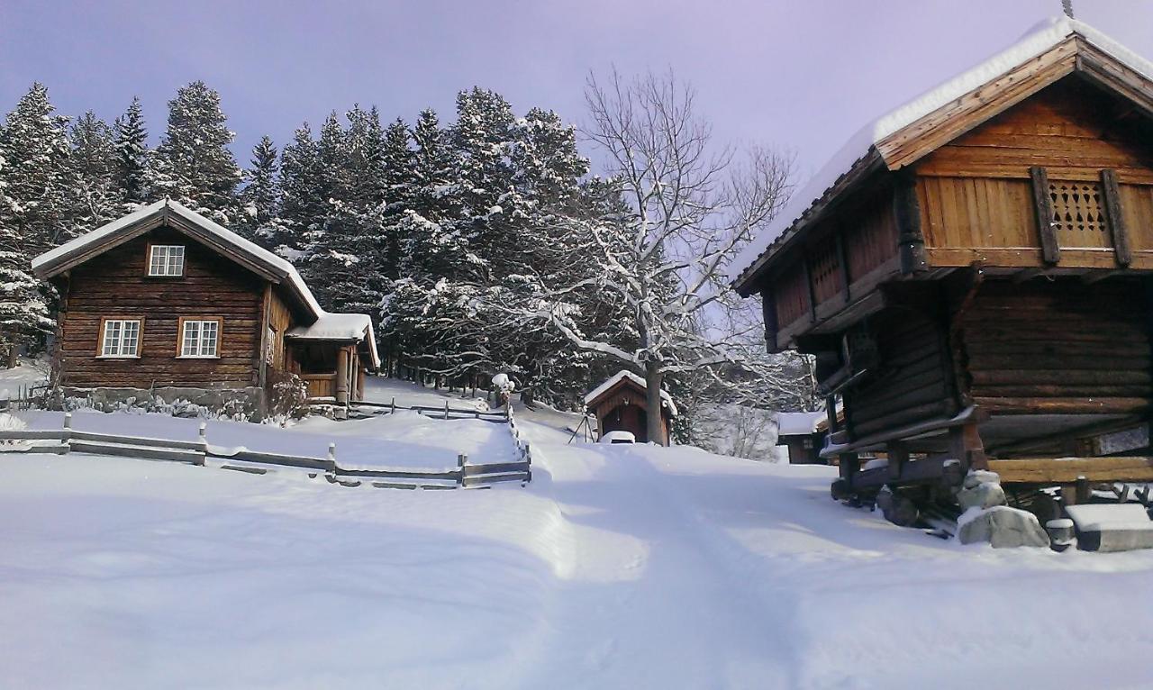 TuddalGamlestugu Greivjord Fjellgard别墅 外观 照片