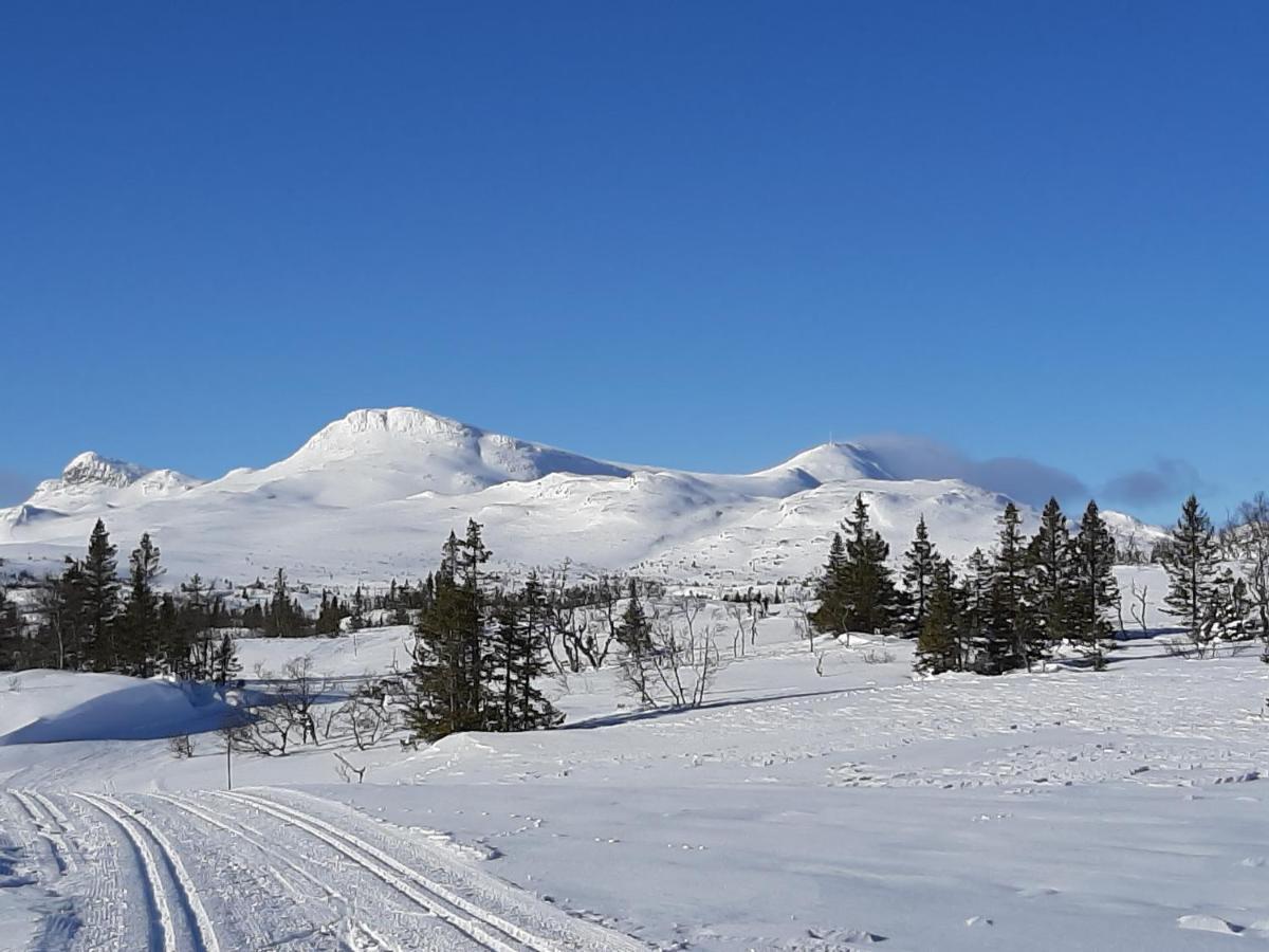 TuddalGamlestugu Greivjord Fjellgard别墅 外观 照片